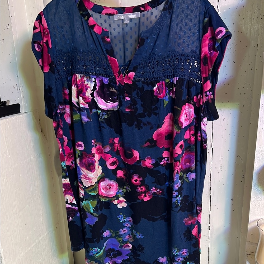 Daniel Rainn Blue and Pink Smocked Blouse with Short Sleeves